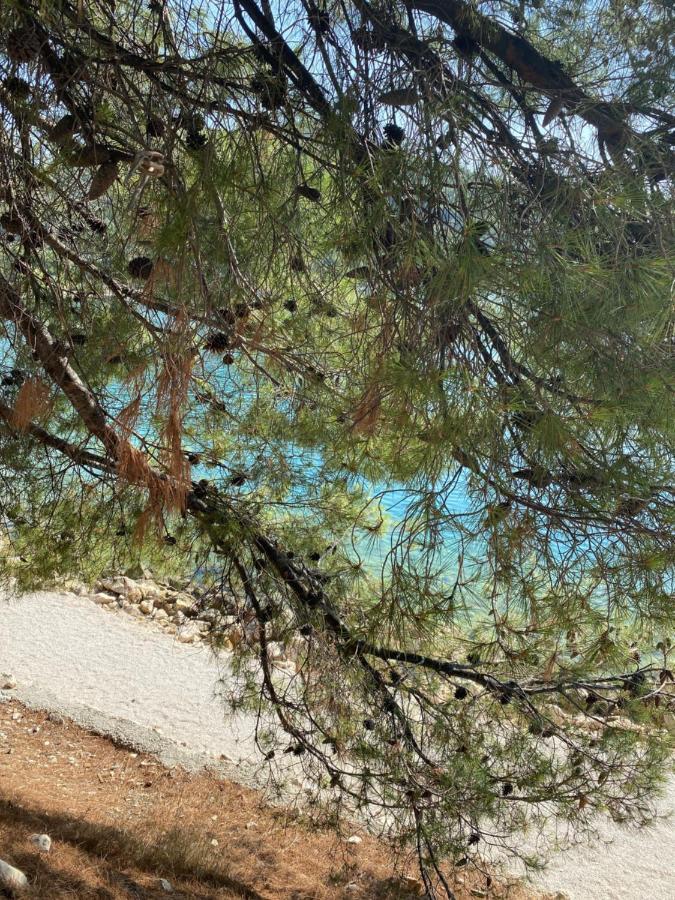 Villa Lovric 산책길 외부 사진